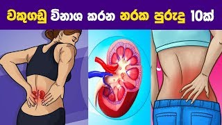 වකුගඩු විනාශ කරන නරක පුරුදු දහයක් | 10 Common Habits That May Harm Your Kidneys