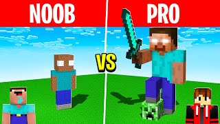 Minecraft NOOB vs PRO : HEROBRINE Build Battle Challenge !!!