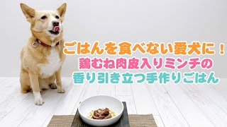 【簡単手作り犬ご飯】ごはんを食べない愛犬に！鶏むね肉皮入りミンチの香り引き立つ手作りごはん【帝塚山ハウンドカム】