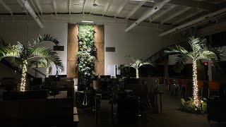 Gorgeous indoor tropical plantings in Cincinnati, Ohio