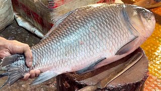 Amazing Giant Katla Fish Cutting Skills In Fish Market | Fish Cutting Skills