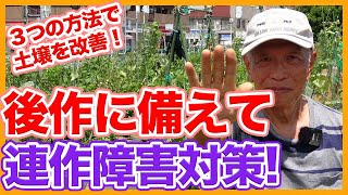 Tips to prevent continuous cropping failure after summer vegetables taught by a Japanese farmer !