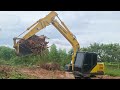 งานขุดตอไม้ยูคาลิปตัสใหญ่ sumitomo sh130-6 ชมไปบ่นไป excavator