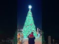 qual Árvore de natal você pegaria natal noel familia arvoredenatal jesus deus god shorts