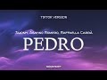 Jaxomy - Pedro Tiktok Version (Lyrics + Terjemahan) pedro pedro pedro pe