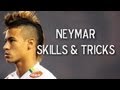 Neymar - Skills, Tricks & Goals 2013 | HD