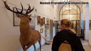 Muzeum Przyrodnicze w Jeleniej Górze [muzeum Cieplice]