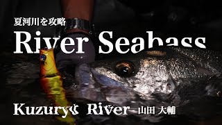 Adjust your Lure to Situation - River Seabass guide by Daisuke Yamada【SUBBED】