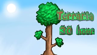 Terraria 30 ชั่วโมง จบเกมกับเพื่อน