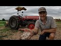 Growing Pumpkins from Seed