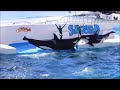 ベテラントレーナー勢揃い 鴨川シーワールド シャチショー kamogawaseaworld