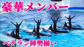 ベテラントレーナー勢揃い!! 鴨川シーワールド シャチショー KamogawaSeaWorld