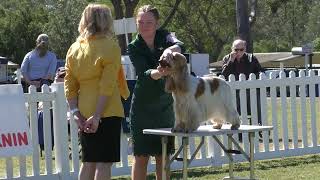 20August23 Junior Handler State Final