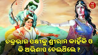 ଚକ୍ରଭାଗ ପକ୍ଷୀକୁ ଶ୍ରୀରାମ କାହିଁକି ଓ କି ଅଭିଶାପ ଦେଇଥିଲେ ? | Siba Nana | Hari Bansh |SIDHARTH BHAKTI RASA