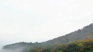 今日も大沼公園🍁と北海道カントリー⛳️プリンスコース🏌️‍♂️今一の天気でしたが紅葉🍁は👍😉🎶