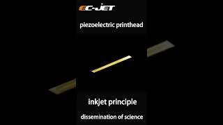 EC-JET Piezoelectric printhead type printer working principle