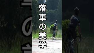 危険🚴速度超過ダウンヒル落車の美学