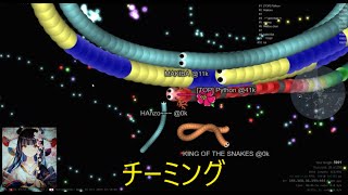 スリザリオ　　チーミングうんざり　××××　ほのぼのお絵かき有り(^▽^)/✨　Rank１solo✨ｖ　　令和6/10/12