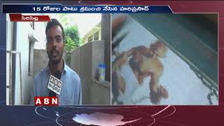 అద్భుత కళాఖండాన్ని  నేసిన హరిప్రసాద్ | Rajanna Sircilla district | ABN Telugu