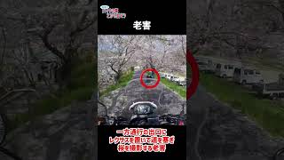 【NC750X】桜 老害 #Shorts