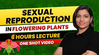 Sexual Reproduction in Flowering Plants Class 12 One Shot All Theory & PYQs NEET 2024 |Ritu Rattewal