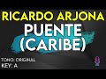 Ricardo Arjona - Puente (Caribe) - Karaoke Instrumental