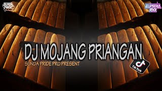 Download Mp3 DJ MOJANG PRIANGAN [GAMELAN] DJ SUNDA TERBARU 2023 || MIX DJ ALVISENA RMX