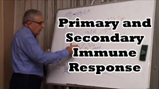 Primary and Secondary Immune Response