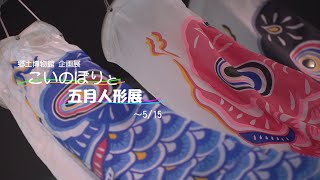 こいのぼりと五月人形展【郷土博物館　企画展】