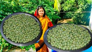 কি ভাবে মটরশুঁটি সংরক্ষণ করতে হয় || মটরশুঁটি সারাবছর রাখার প্রক্রিয়া || motorshooti Sanraksana||