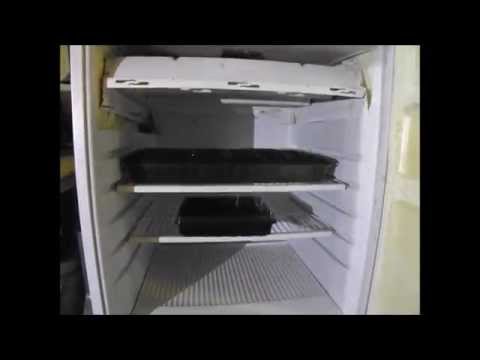 Put Lights In Your Old Fridge For Starting Seeds Put Lights In Your Old Fridge For Starting Seeds