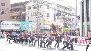 平成28年羽曳野市古市だんじり祭りその９