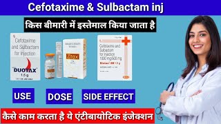 Cefotaxime and Sulbactam injection | #health #disease