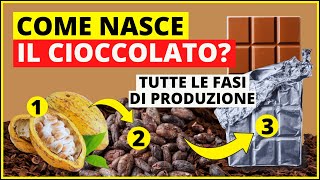 Dalla fava di cacao al cioccolato: come viene fatto il cioccolato? - Produzione del cioccolato