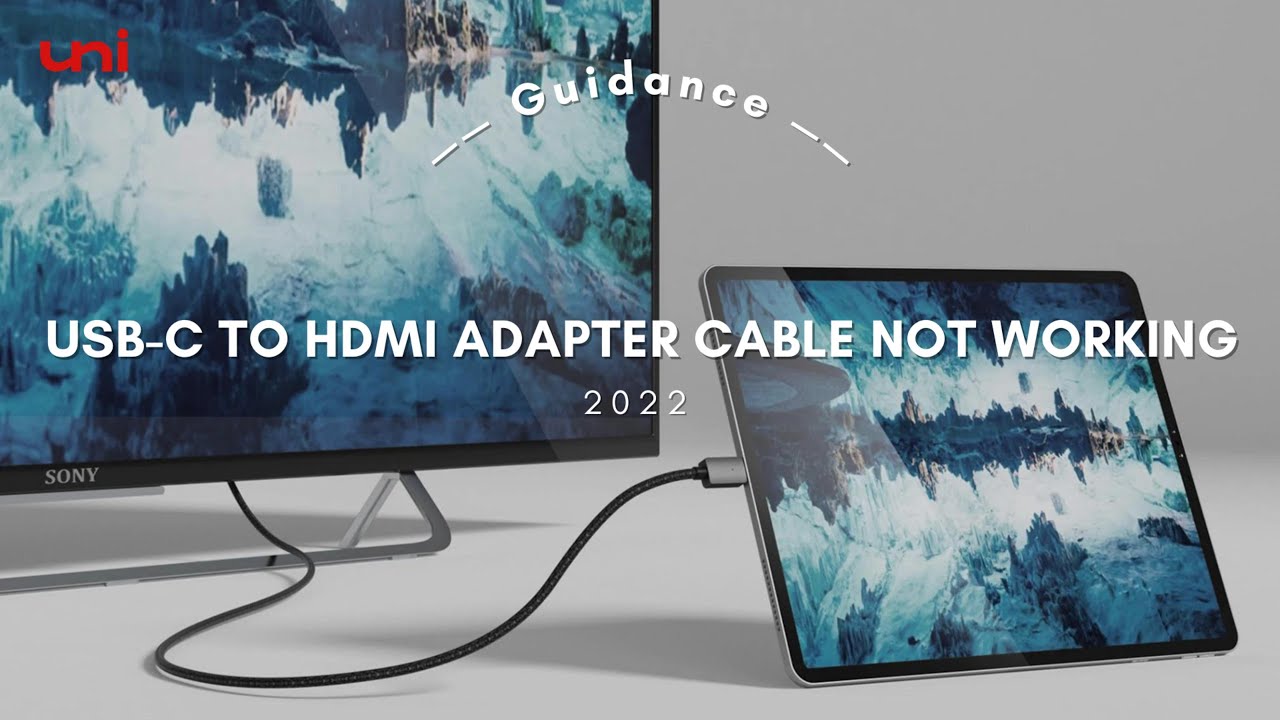 Hdmi Dvi Cable Not Working At Oliver Silas Blog