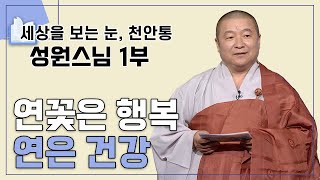 연꽃 연구를 통해 많은 중생을 생각하는 연꽃 보살_ 성원스님 1부 [세상을 보는 눈, 천안통 47회]