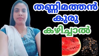 തണ്ണിമത്തൻ കുരു കഴിച്ചാൽ||Watermelon Seeds In Malayalam||@HealthiesBeauties