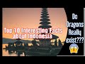 Top 10 Interesting Facts about Indonesia| Indonesia Facts| Wander Bees