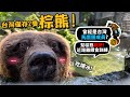 【台灣僅存兩隻】棕熊!曾經是台灣馬戲團的團員!被關鐵籠遺棄?日本熊攻擊事件!有白化棕熊被誤會帶去北極?棕熊吃爆特製水果冰!!【許伯簡芝】【從零開始養】