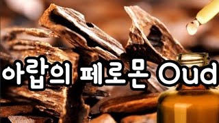 이성을 유혹하는 중동의 향기 Oud