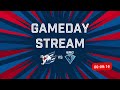 gameday stream adler mannheim vs. erc ingolstadt