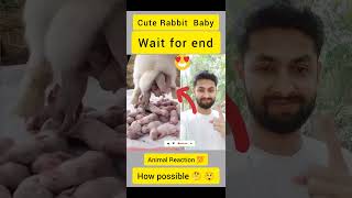 Reaction 💯 Cute rabbit baby😍#shorts #rabbit #shortsvideo #short