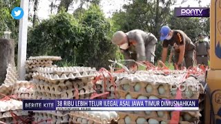 38 Ribu Lebih Telur Ilegal Asal Jawa Timur Dimusnahkan