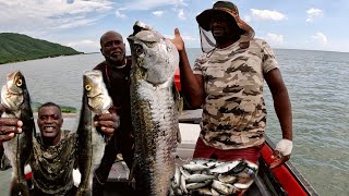 biggest Tarpon ever caught by one hand👨 infested crocodile Water full of fish massive catch of fish