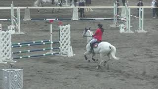 2019.3.10 第63回神奈川県馬術大会2019 第21競技 中障害飛越競技105cm 松田和佳 慶雪号