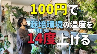 植物が歓喜する超簡単DIY冬の節電術【観葉・塊根・エアプランツ・ビカクシダ水やり方法】