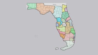 'Election, administration nightmare': Florida's new congressional map met with several lawsuits