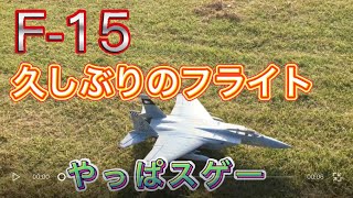 ラジコン　戦闘機　F-15 V2 この機体オススメ！