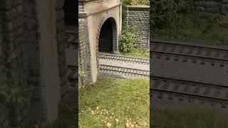 Exiting The Pattenburg Tunnel At Max Speed #hoscaletrains #train #fun #ah