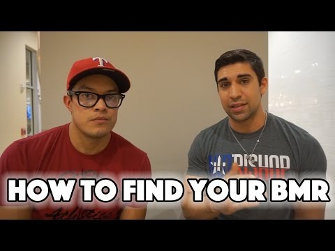 How To Find Your Basal Metabolic Rate How To Find Your Basal Metabolic Rate